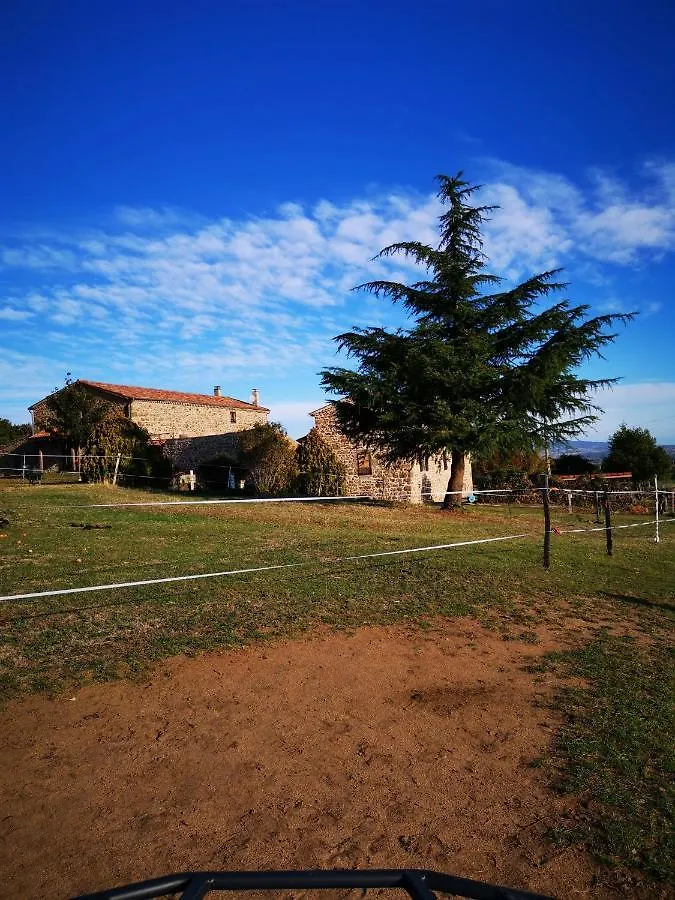 Ferme De La Combe Bed & Breakfast Saint-Jeure-d'Ay