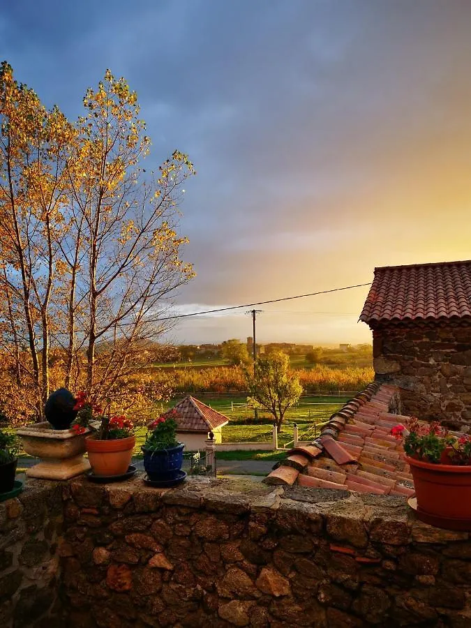 Ferme De La Combe Bed & Breakfast Saint-Jeure-d'Ay