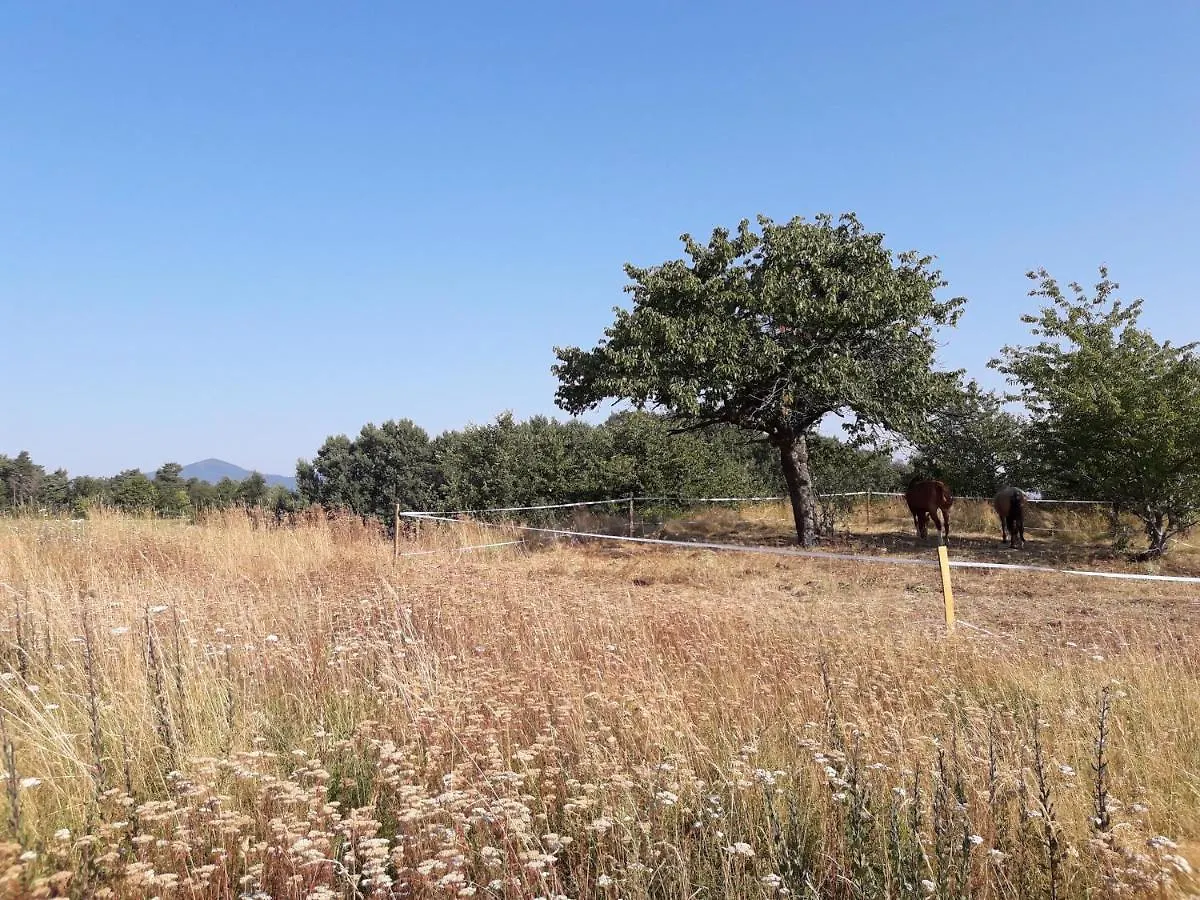 Ferme De La Combe Bed & Breakfast Saint-Jeure-d'Ay France