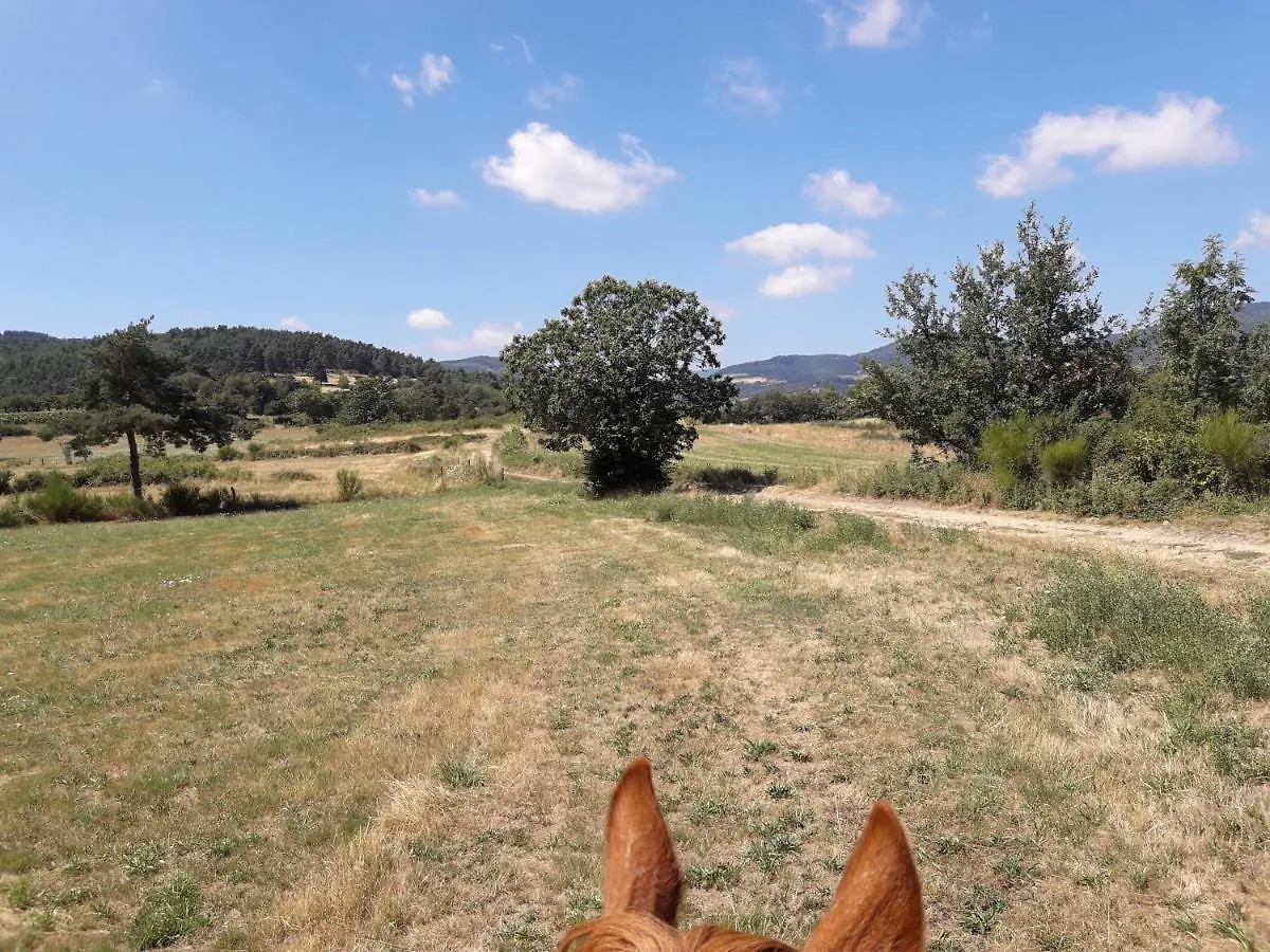 Ferme De La Combe Bed & Breakfast Saint-Jeure-d'Ay