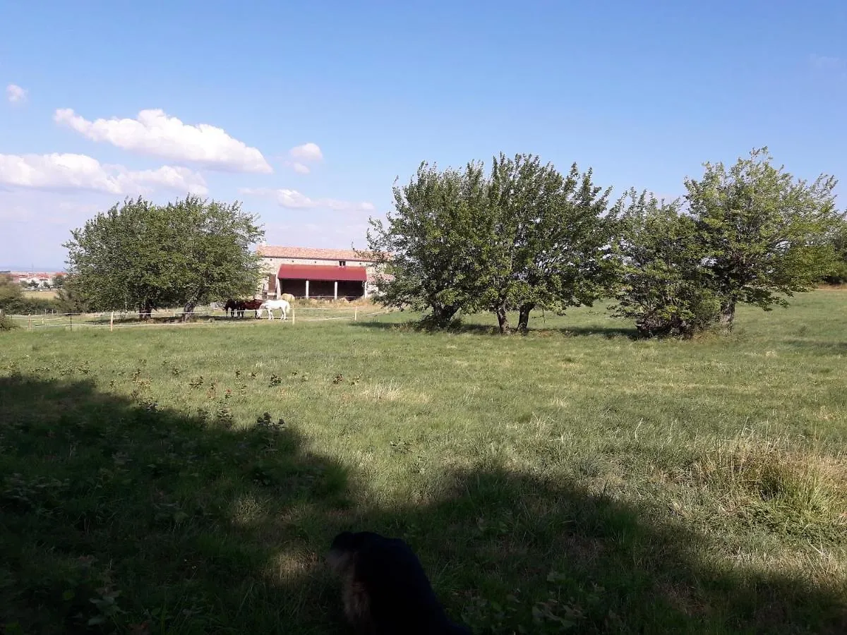 Ferme De La Combe Bed & Breakfast Saint-Jeure-d'Ay