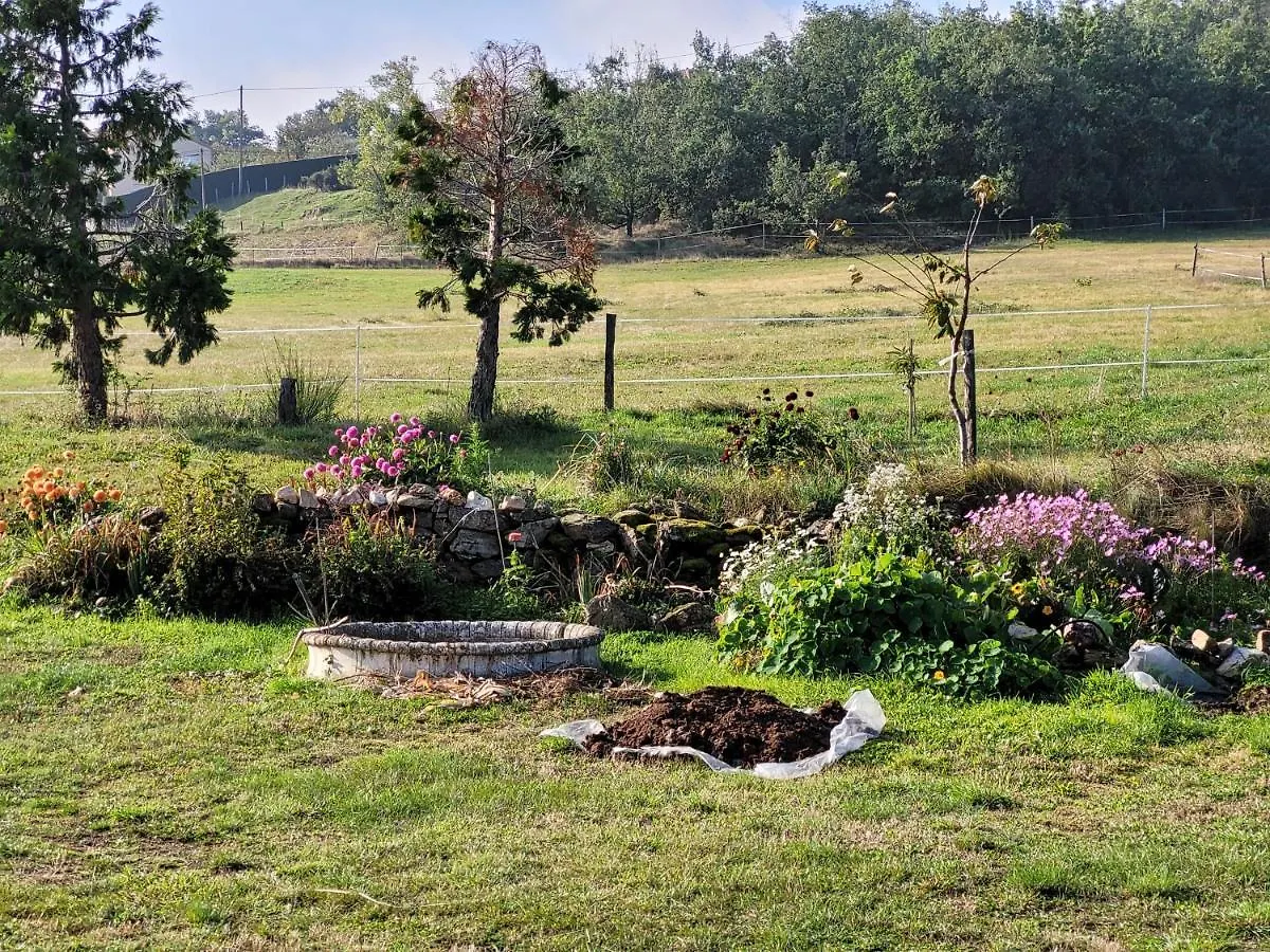 Ferme De La Combe Bed & Breakfast Saint-Jeure-d'Ay France