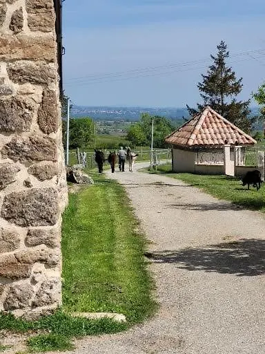 Ferme De La Combe Bed & Breakfast Saint-Jeure-d'Ay